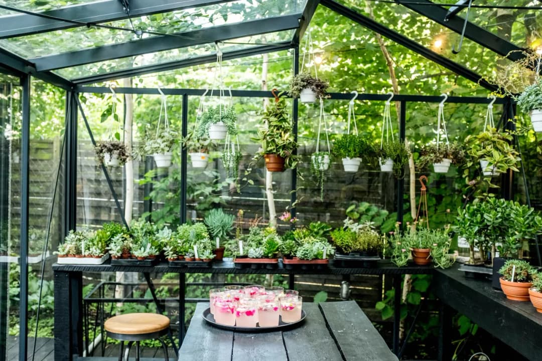 Restauracje z ogrodami w Warszawie | Sprawdź TOP10 i rezerwuj stolik już dziś!