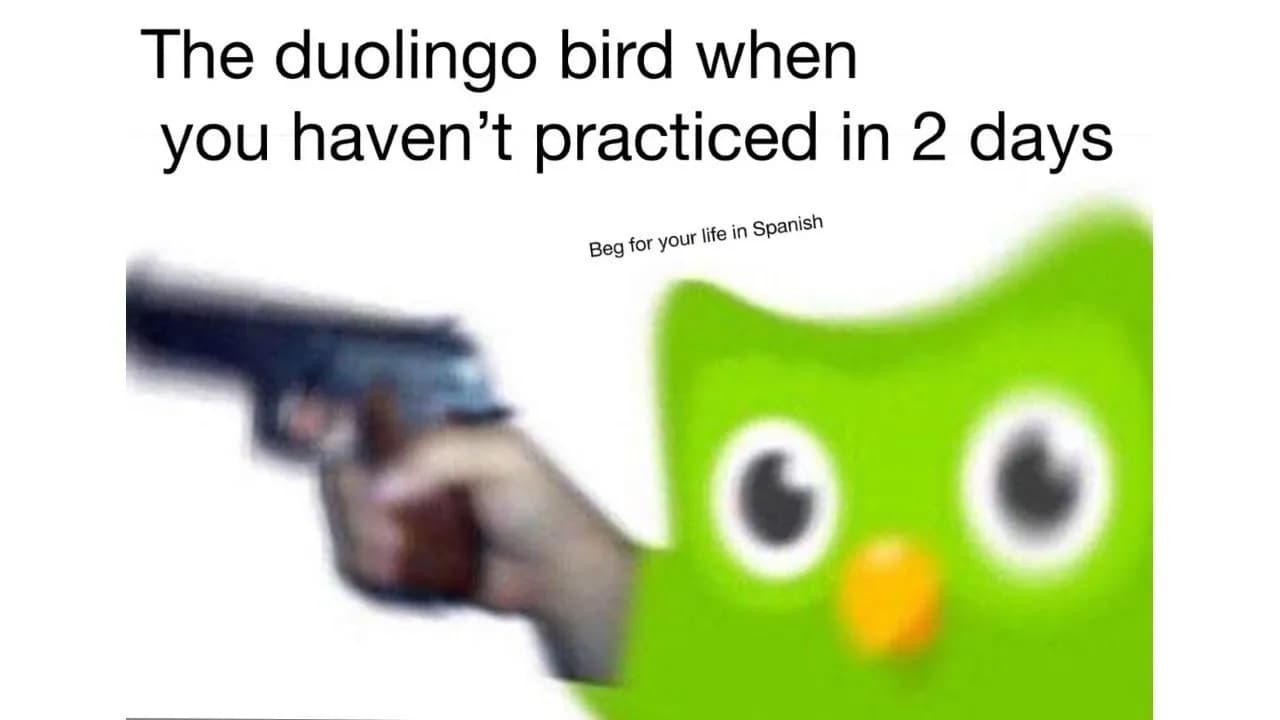 Najśmieszniejsze memy z Duolingo, które rozbawią Cię do łez!