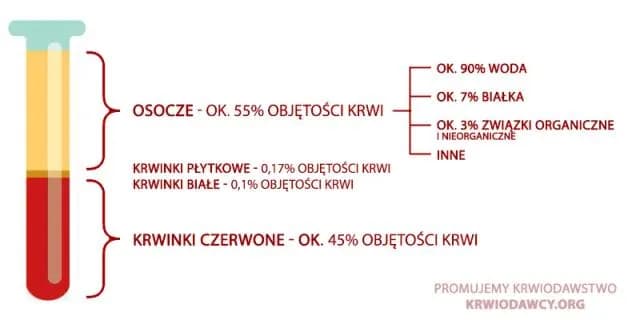 Co oznacza jednostka krwi i ile to dokładnie jest - pełna definicja medyczna