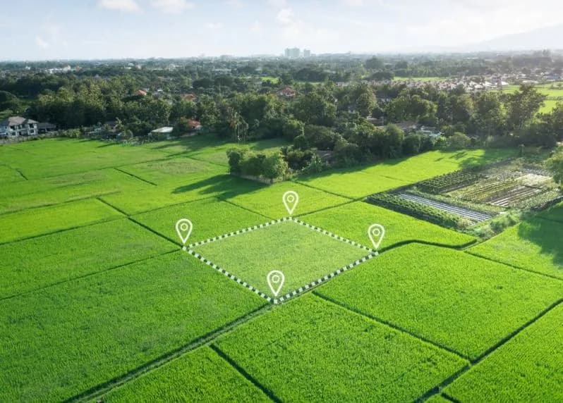 Co to jest hektar i jak przeliczyć go na metry kwadratowe: prosty poradnik