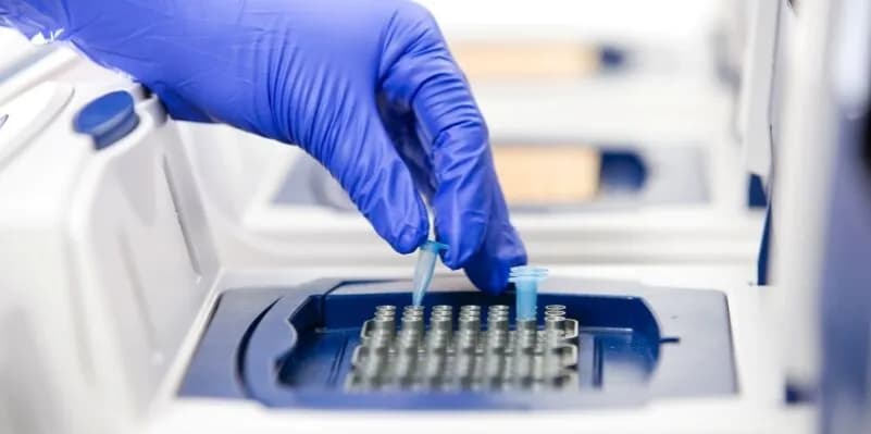 Jak sprawdzić czy dziecko jest twoje: wszystkie metody i koszty badań DNA